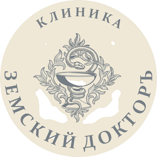 Логотип клиники Земский Доктор